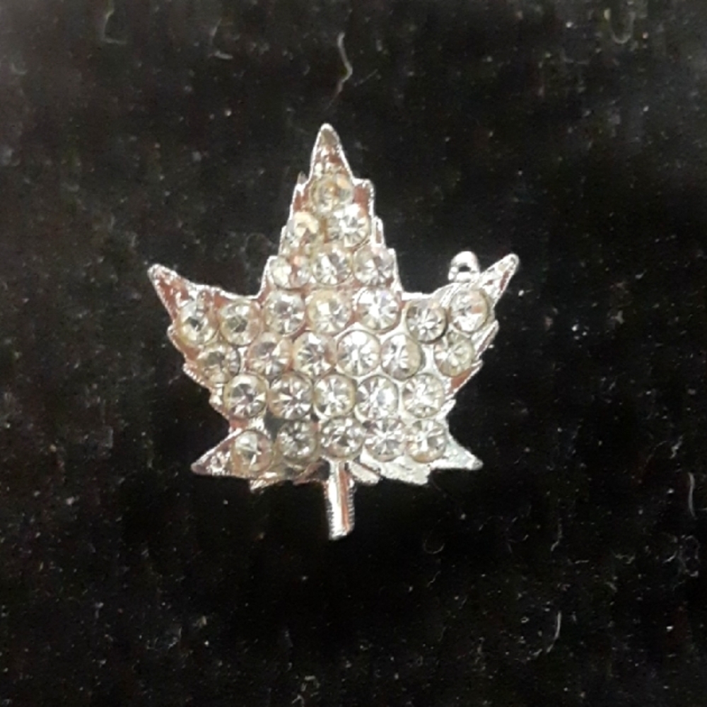 Elegant Silver Tone Leaf Brooch